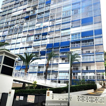 Apartment Alcalde Manuel Catalan Luxury Benidorm Exterior foto